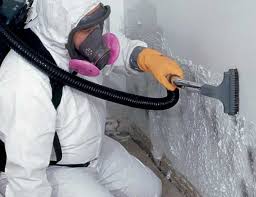 Best Forensic Mold Investigation  in Mattoon, IL